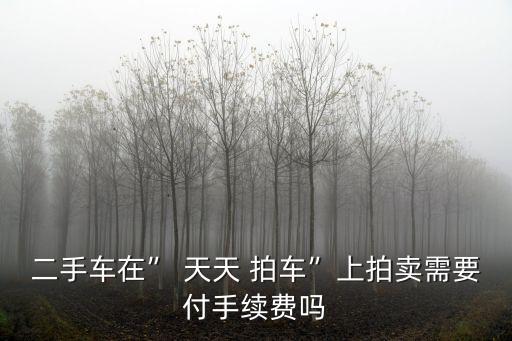 天天拍車,天天拍車承諾24小時內(nèi)給報價交手續(xù)費1.5%