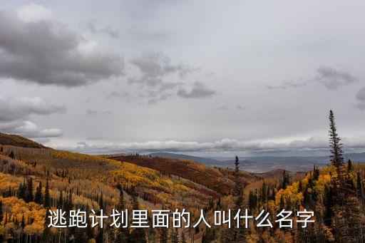 逃跑計劃樂隊，逃跑計劃樂隊 到底是不是百事群英大賽十強