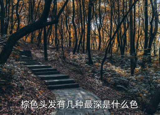 咖啡色染發(fā)效果圖,咖啡色和棕色之別在于顏色深淺