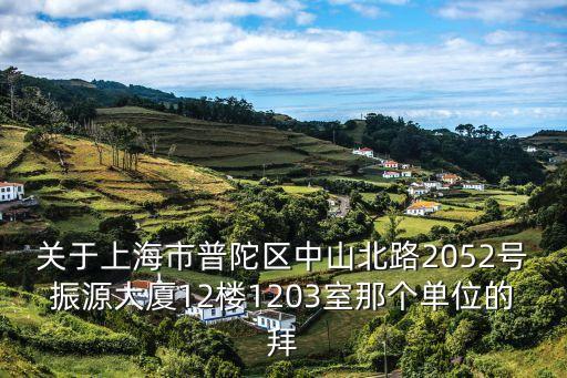 關于上海市普陀區中山北路2052號振源大廈12樓1203室那個單位的拜