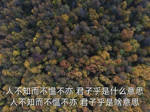 人不知而不慍不亦 君子乎是什么意思人不知而不慍不亦 君子乎是啥意思