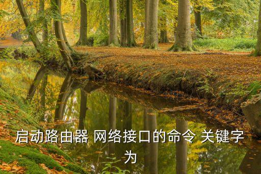 啟動路由器 網(wǎng)絡(luò)接口的命令 關(guān)鍵字為