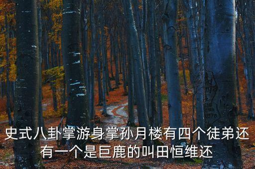 史式八卦掌游身掌孫月樓有四個徒弟還有一個是巨鹿的叫田恒維還