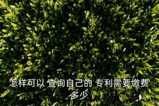 怎樣可以 查詢自己的 專利需要繳費多少