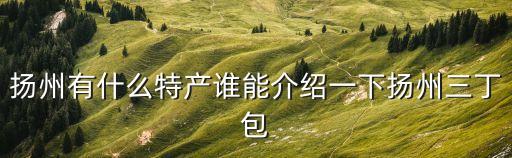 揚州有什么特產誰能介紹一下揚州三丁包