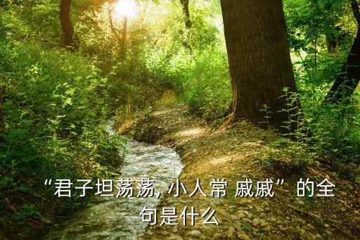 小人常戚戚,堂堂正正的人，小人long戚戚引發網民熱議