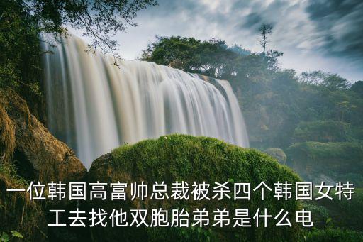 一位韓國高富帥總裁被殺四個(gè)韓國女特工去找他雙胞胎弟弟是什么電