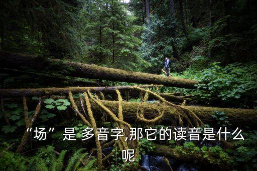 “場”是 多音字,那它的讀音是什么呢