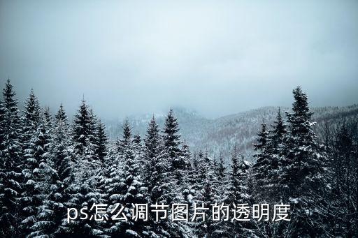 ps怎么調(diào)節(jié)圖片的透明度