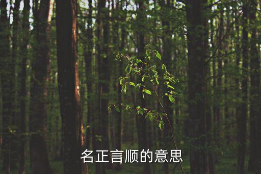  名正言順的意思