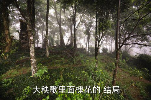  大秧歌里面槐花的 結局