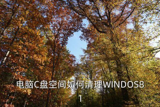 電腦C盤空間如何清理WINDOS81