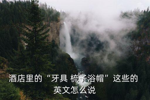 梳子英文,晨光|紙上風云:互聯網使用英文更受歡迎