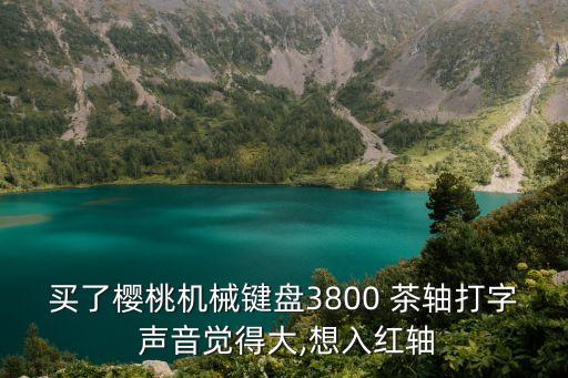 茶軸聲音,紅與黑只比綠茶聲音小一個(gè)階段觸發(fā)按鍵