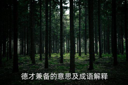 德才兼備近義詞,德才兼備:可以,天賦；良好品德和才能