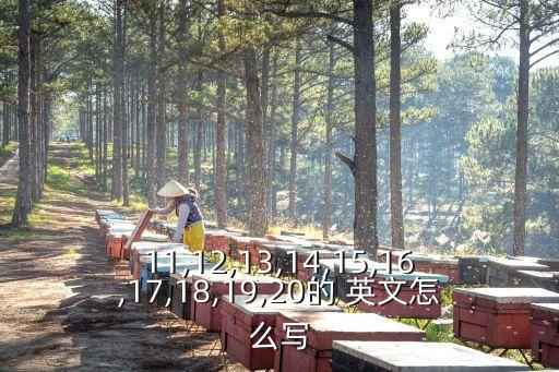 十四的英文,我和你一樣希望被尊重