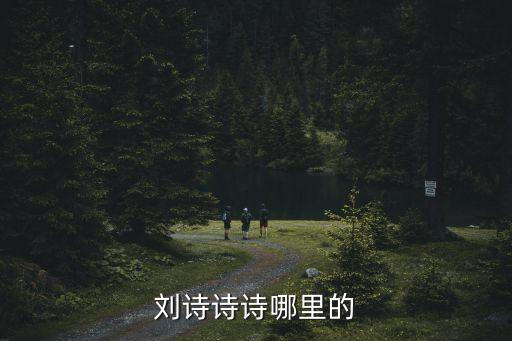 劉詩詩哪里人，劉詩詩是什么民族的
