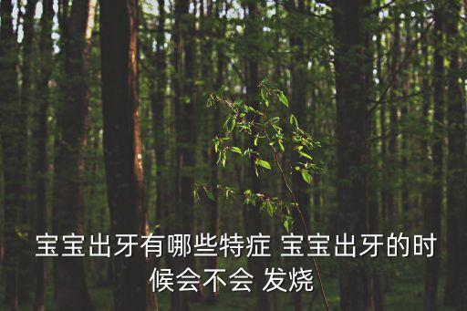 寶寶出牙會發燒嗎,寶寶出牙不會發燒只要多喝水物理降溫即可