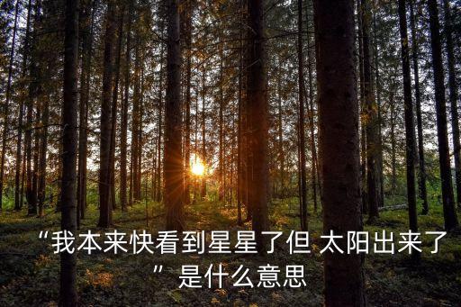 “我本來快看到星星了但 太陽出來了”是什么意思