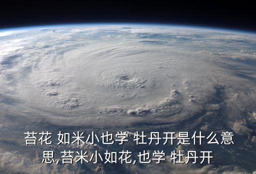 苔花如米小也學牡丹開,第二集:我是一朵小米一樣小的花