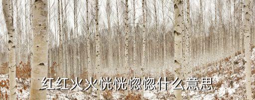 紅紅火火恍恍惚惚什么意思