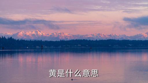 黃是什么意思