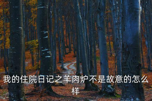 住院日記，我的住院日記之羊肉爐不是故意的怎么樣