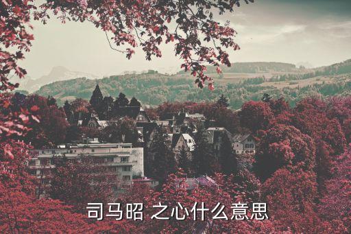 司馬昭之心什么意思,司馬昭之心非常明顯