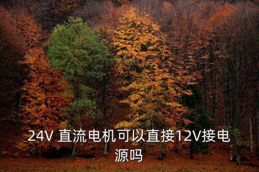 24V 直流電機可以直接12V接電源嗎