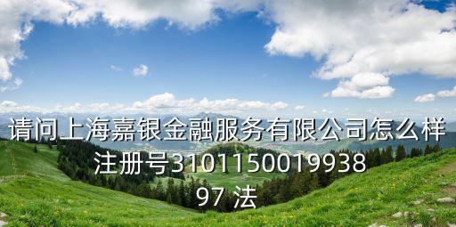 請問上海嘉銀金融服務(wù)有限公司怎么樣 注冊號310115001993897 法