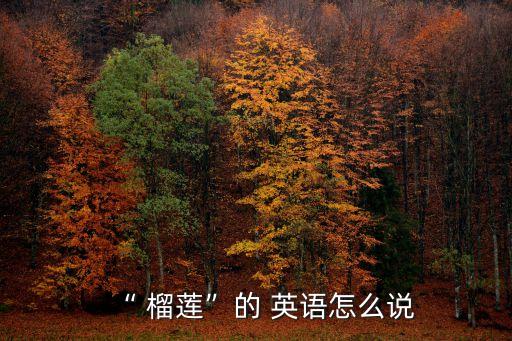榴蓮英語