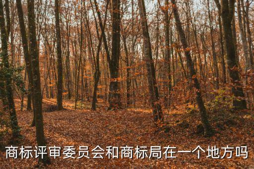 評審委員會，商標(biāo)局和商標(biāo)評審委員會的職能劃分