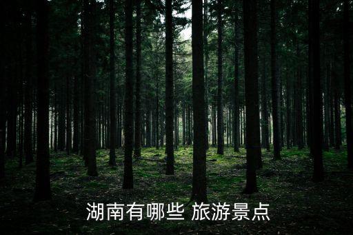 湖南旅游,中國最美城市之一湖南張家界