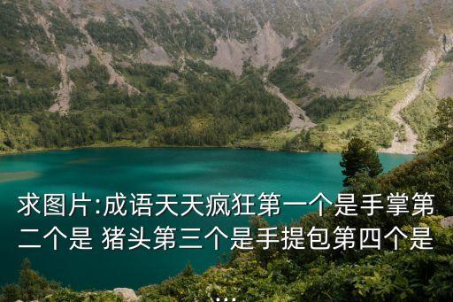 求圖片:成語天天瘋狂第一個是手掌第二個是 豬頭第三個是手提包第四個是...