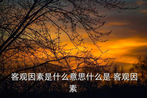 客觀原因,旱災洪水是客觀原因:客觀factor不依賴意志