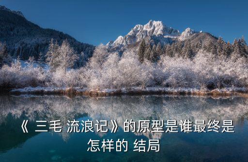 三毛流浪記結局,三毛流浪記六要素:文字溫柔細膩