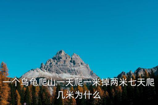 一個烏龜爬山一天爬一米掉兩米七天爬幾米為什么