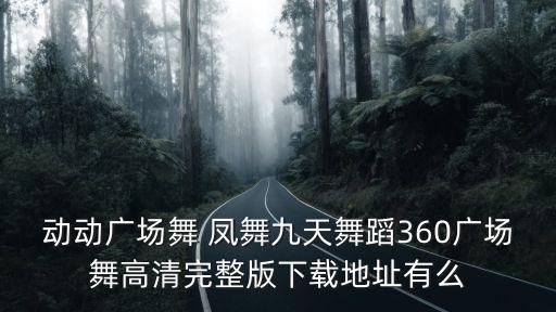 動動廣場舞 鳳舞九天舞蹈360廣場舞高清完整版下載地址有么