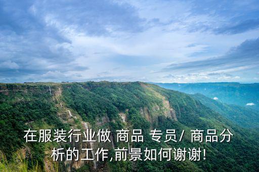 商品專員,跟進店慶期間商品整合工作職員助主管調整商品