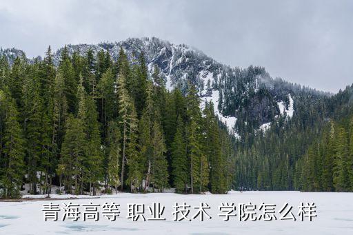 青海職業技術學院,青海高等專科學院成立于1996年