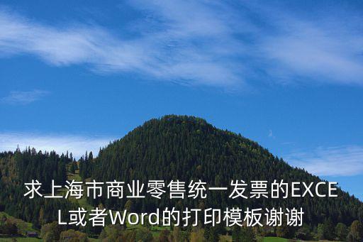 上海市定額發票模板，求上海市商業零售統一發票的EXCEL或者Word的打印模板謝謝