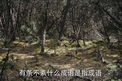 有條不紊意思，關于成語有條不紊