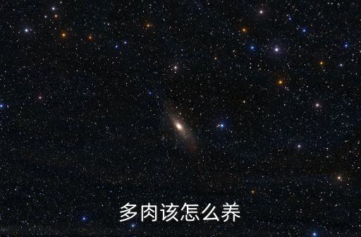 多肉怎么養，多肉該怎么養