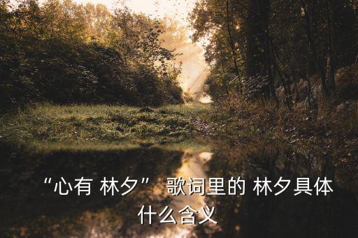 “心有 林夕” 歌詞里的 林夕具體什么含義