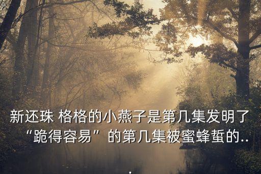 新還珠 格格的小燕子是第幾集發明了“跪得容易”的第幾集被蜜蜂蜇的...