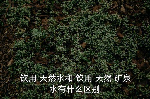  飲用 天然水和 飲用 天然 礦泉水有什么區別