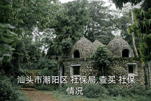  汕頭市潮陽區(qū) 社保局,查買 社保情況