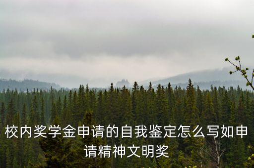 獎學金自我鑒定，校內獎學金申請的自我鑒定怎么寫如申請精神文明獎