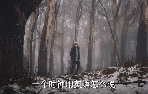 一個(gè)時(shí)鐘用英語(yǔ)怎么說(shuō)