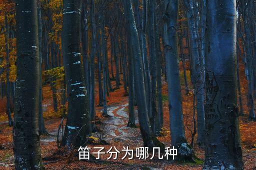 笛子有哪些種類，我國的笛子都有什么類型